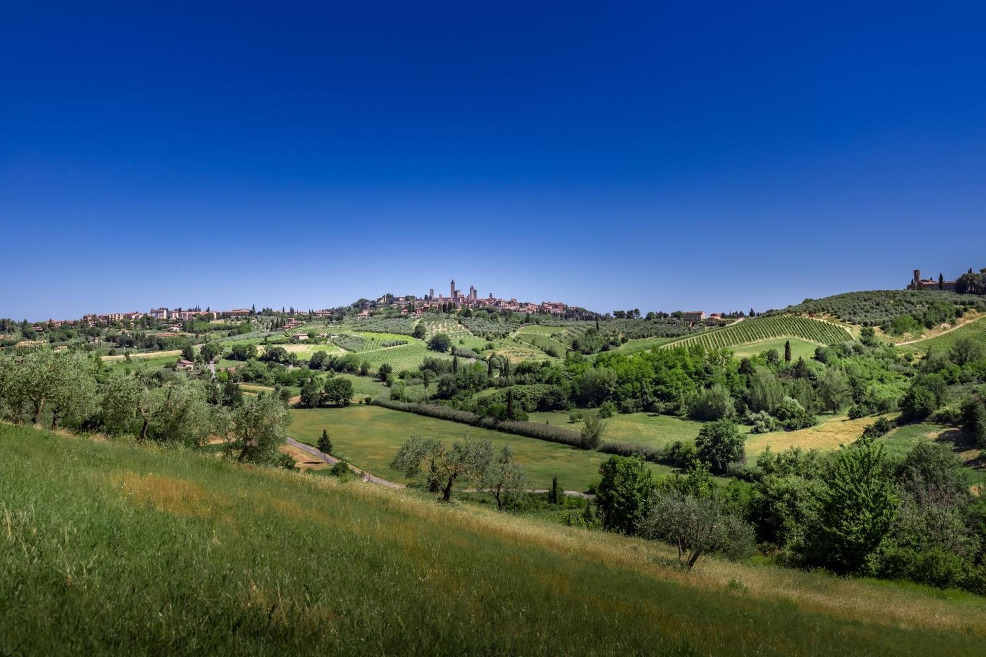 Agriturismo Poggiacolle Villa San Gimignano Ngoại thất bức ảnh