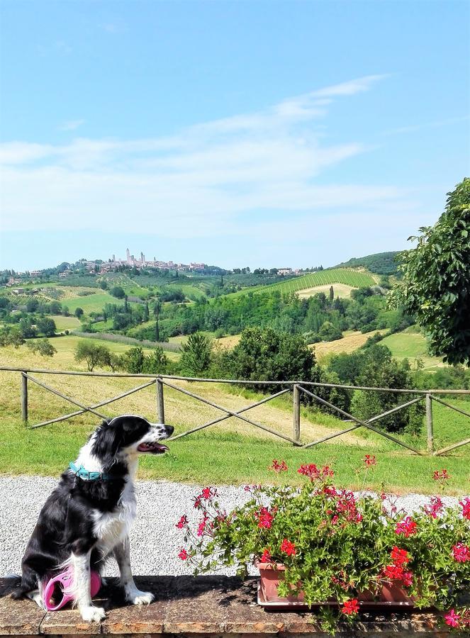 Agriturismo Poggiacolle Villa San Gimignano Ngoại thất bức ảnh